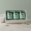 Eucalyptus Wellness Candle Set – LourEssentials